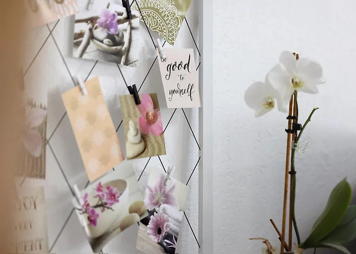 Apartament Albgaengerle *